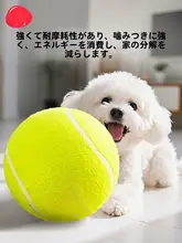hipidog 大型犬用ラバーテニスボール【犬のおもちゃ・耐久性・遊び心を刺激】