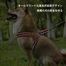 犬用ハーネス付きリード【中小型犬用・柴犬・テディベア・心地よい装着感】