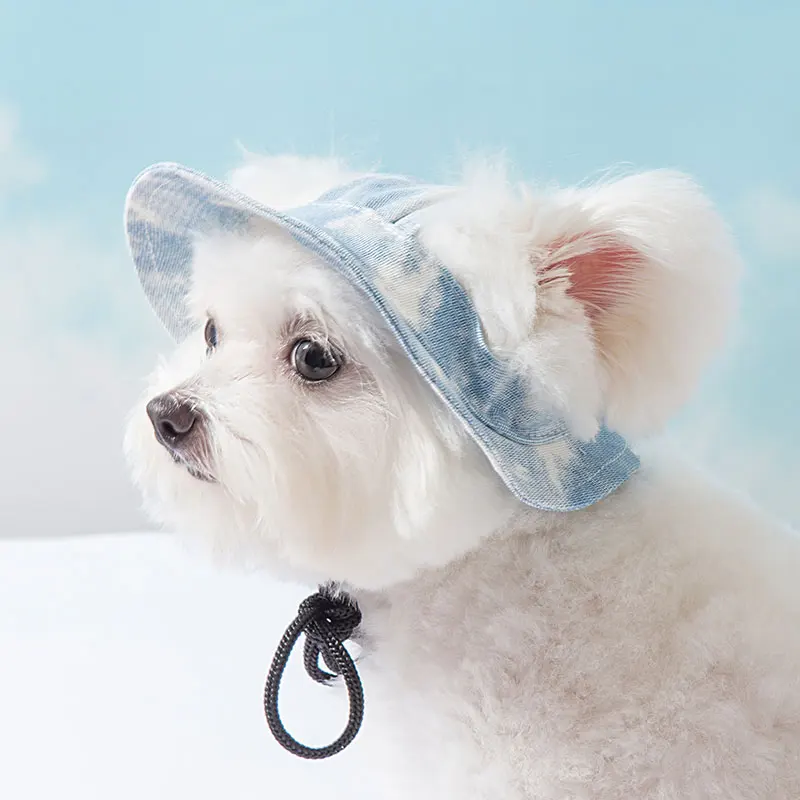 犬のお散歩グッズをコスパ良く揃える方法 - 日除け漁師帽のサイズ・効果・コストパフォーマンス