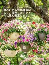 愛莉思 吊り下げ型プラスチックプランター【観葉植物用・厚手・簡単お手入れ】