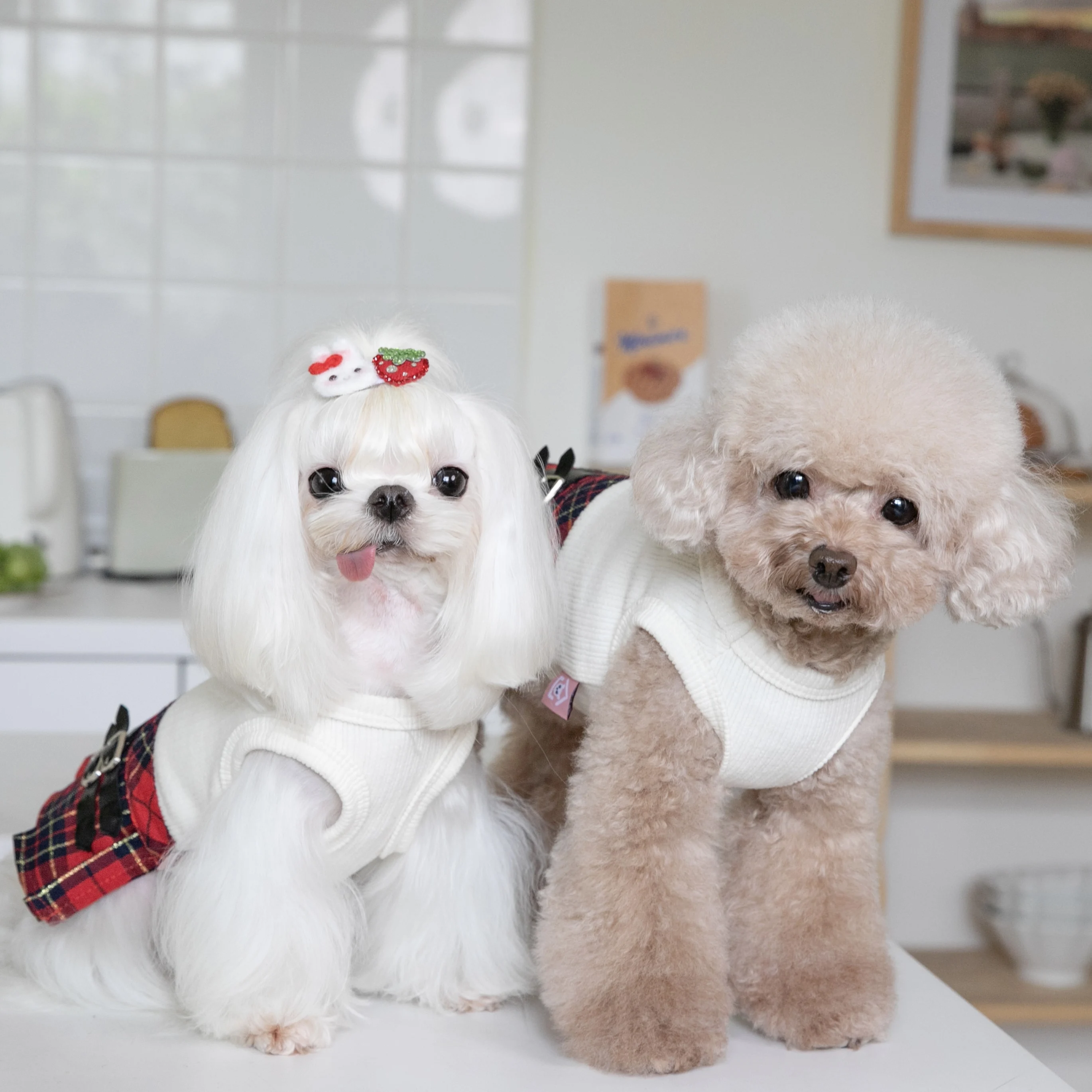 ペット用英倫風レッドチェックスカート：犬用・猫用対応のシンプルなセットアップスタイル