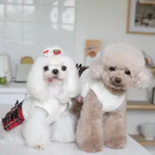ペット用 英国学院風レッドチェックのスカート【犬用・Bichonフリーゼ・トイプードル・猫用】（セットアップ対応）