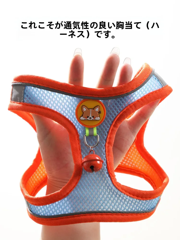 小型犬用リード：胸部ハーネスで安定したお散歩を実現