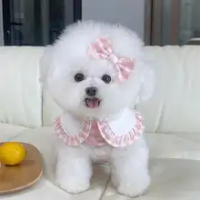 ペット用服 犬や猫に最適 夏用通気性マジックテープ素材 薄手の胸当てとリード