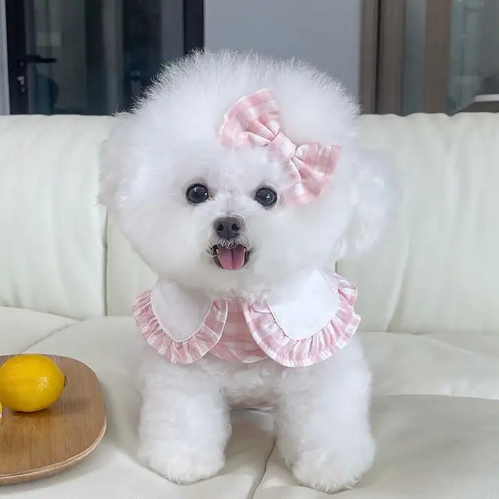 ペット用服 犬や猫に最適 夏用通気性マジックテープ素材 薄手の胸当てとリード