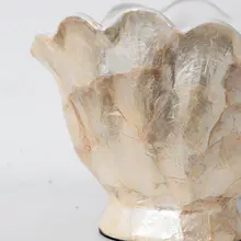 高級感のある天然貝殻陶器フラワーベース【水耕栽培・広口デザイン・デスクトップ飾り用】