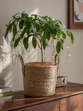シンプルな草編み花盆【大サイズ・カラフル編みバスケット・観葉植物用】（セットアップ対応）