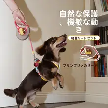 小型犬用 胸付リード【爆発防止・耐久性あり・ペットの散歩に最適】