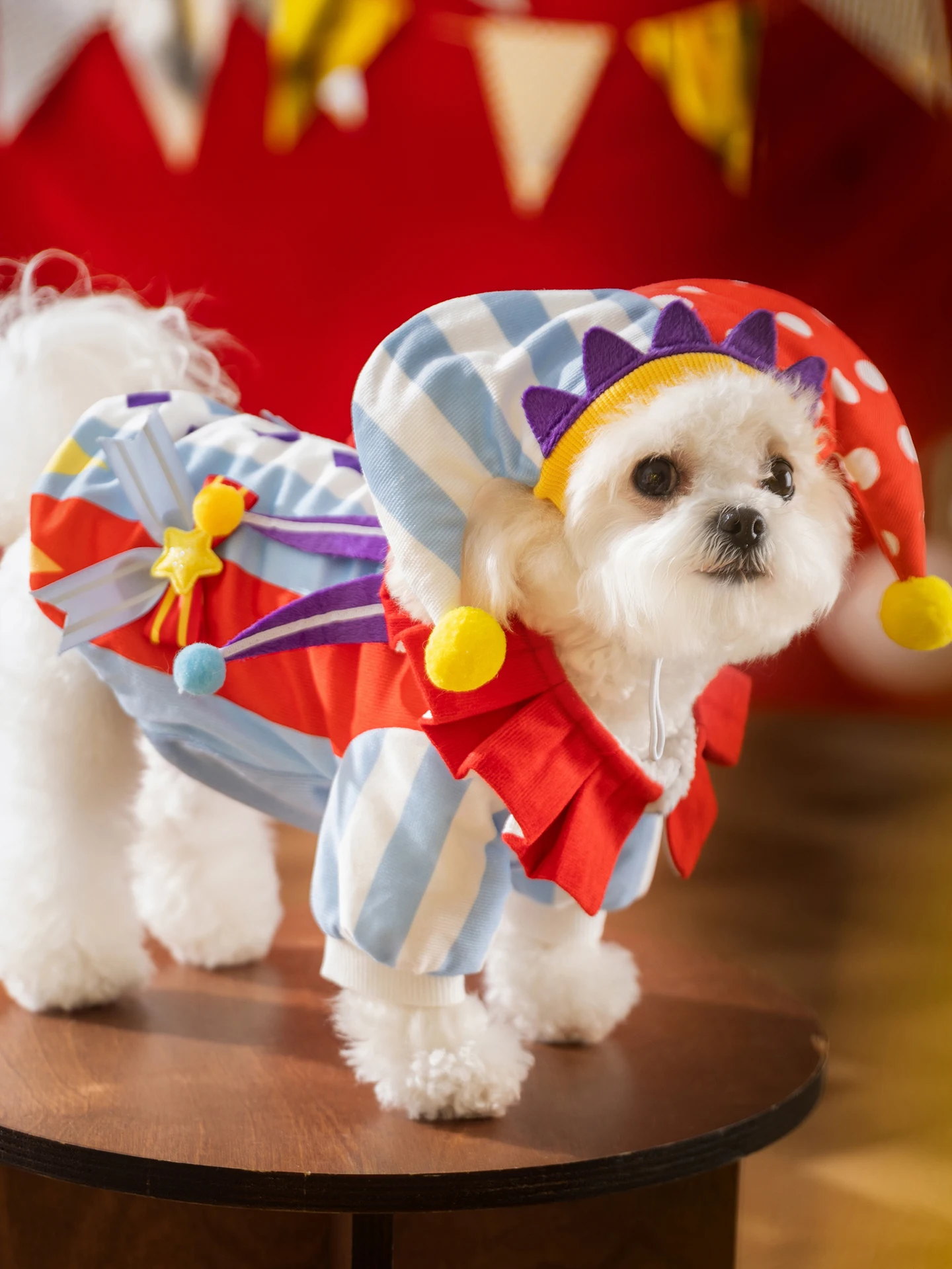 犬を飼う初心者が冬の寒さに悩むとき、どんな犬服が最適なのか？