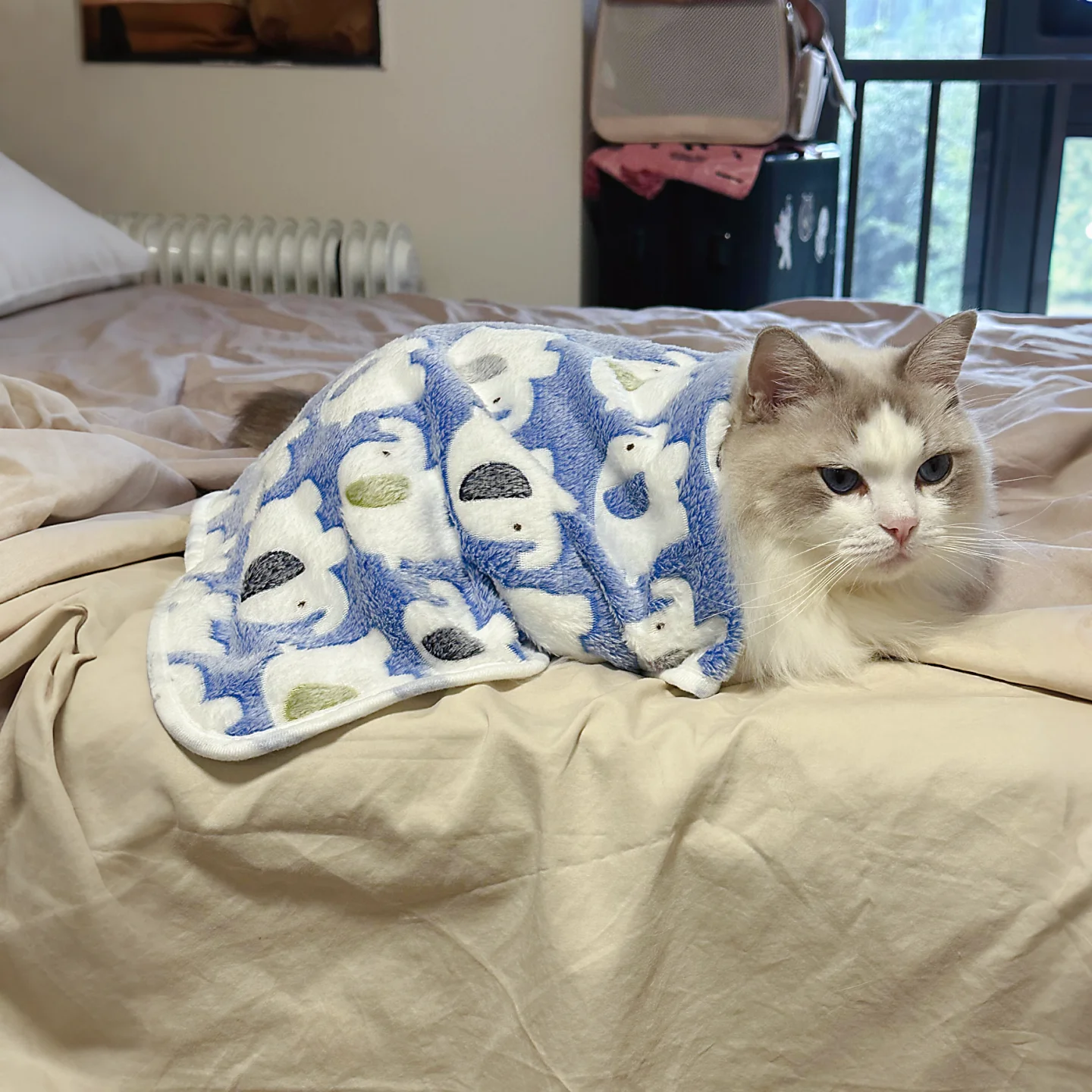 猫デザインのふわふわブランケット：冬用保温機能と四季対応の実用性