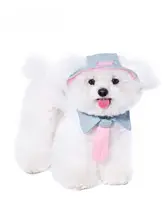 犬用ハット風ネクタイ付きキャップ【小型犬用・秋用・耳出し・ヨークシャーテリア・ビションフリーゼ対応】