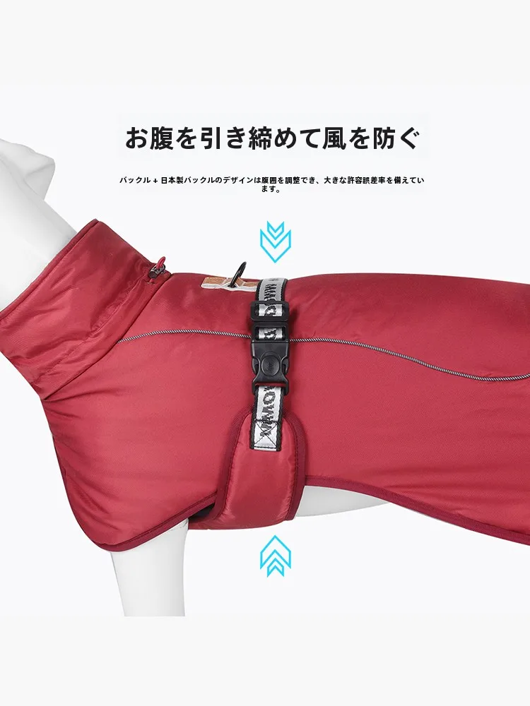 犬のお散歩グッズをコスパ良く揃える方法 - 中大型犬用防寒ダウンコートのコストパフォーマンス評価