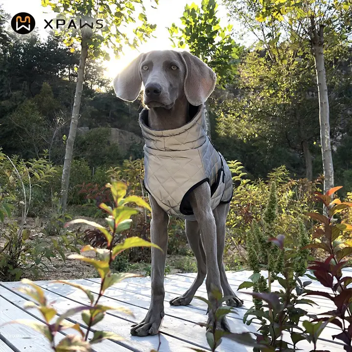 反射素材の犬用防風ジャケット【冬用・中型犬・大型犬対応・保温性抜群】