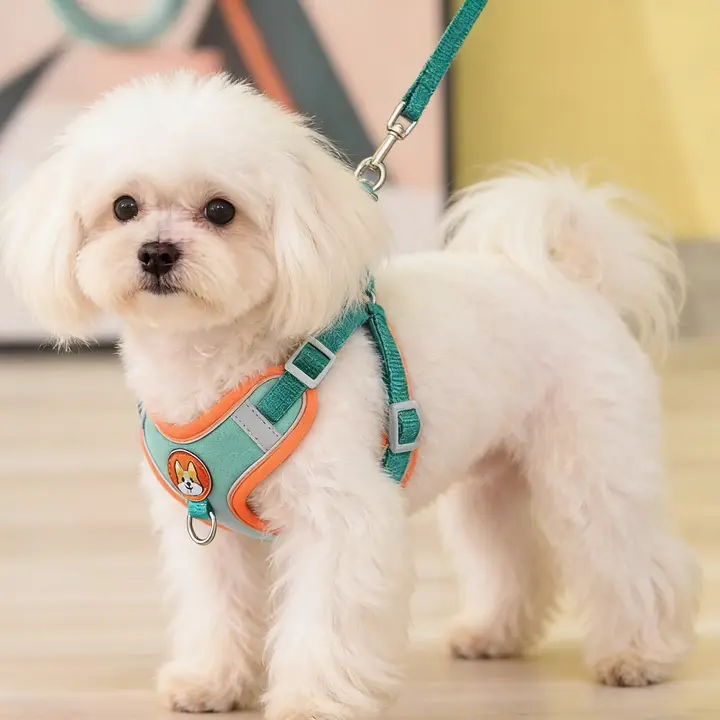 小型犬用ハーネス型リード【柔らかく通気性抜群・脱走防止デザイン】