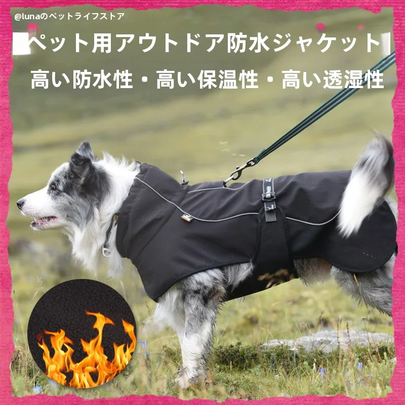 犬のお散歩グッズをコスパ良く揃える方法　完全ガイド