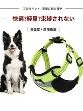 犬用 胸部ハーネスとリード【大型犬用・快適設計・調整可能】