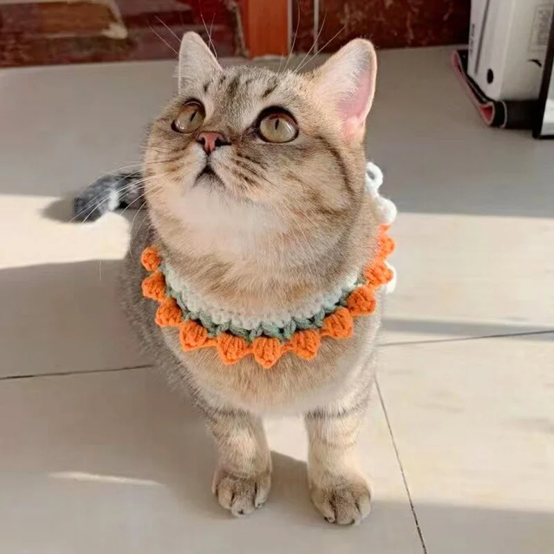 手作り編み首輪 猫犬用 花柄ニットアクセサリーの実用性と選定ガイド