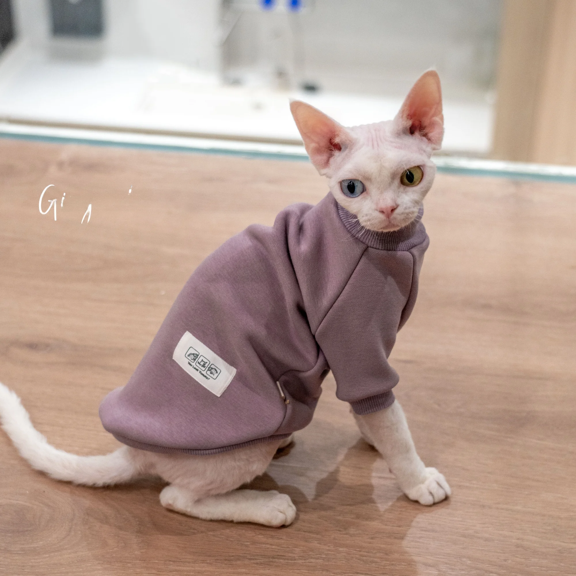 猫飼いが買ってよかったもの・悪かったもの正直に言う - 裏起毛保温セーターの特徴と実際の効果