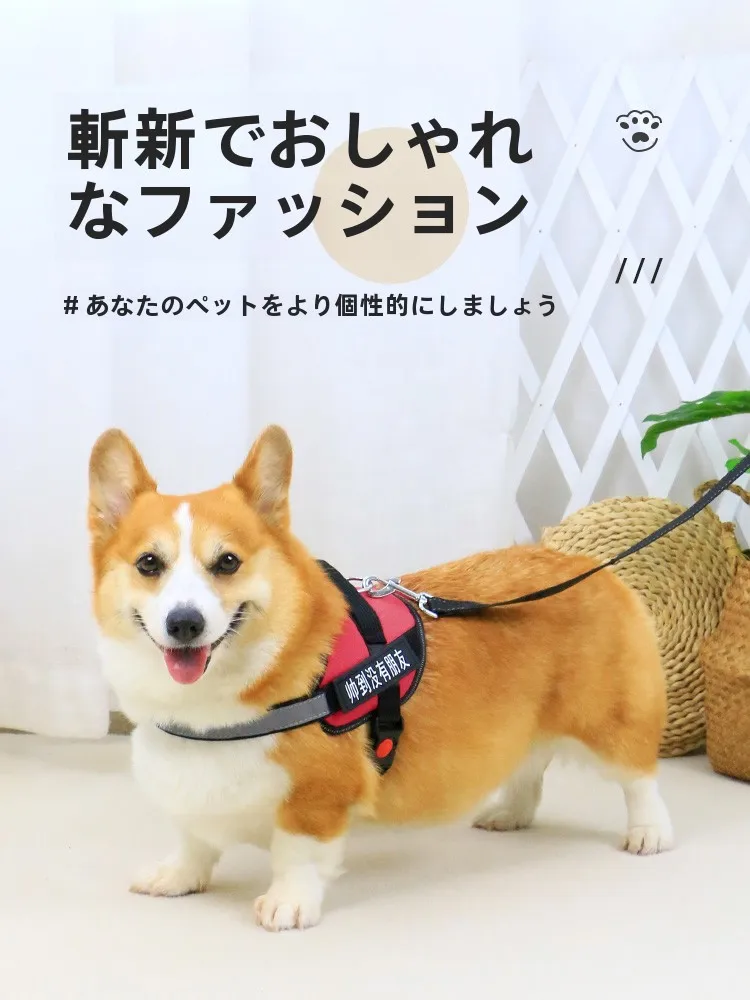 愛犬用防爆設計胸部ハーネス：中型・小型犬向けの安全かつ快適な散歩サポート