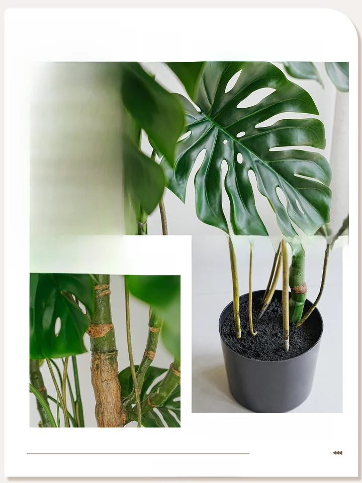 バイオニックグリーン 巨大 シダ 植物 インテリア リビング 装飾 景観