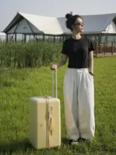大容量のキャリーバッグ【軽量・男女兼用・旅行用】