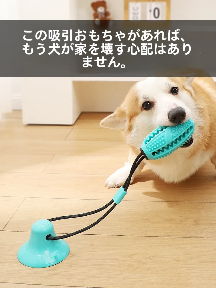 犬用おもちゃ【歯磨き・体力消耗機能付きボール】6ヶ月から9ヶ月の幼犬に最適な長く遊べるおもちゃ