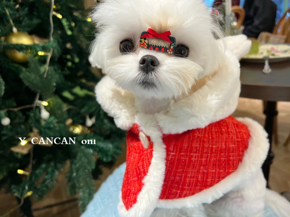 ペット用保暖ケープ【赤・新年祝い・フード付き・猫用】