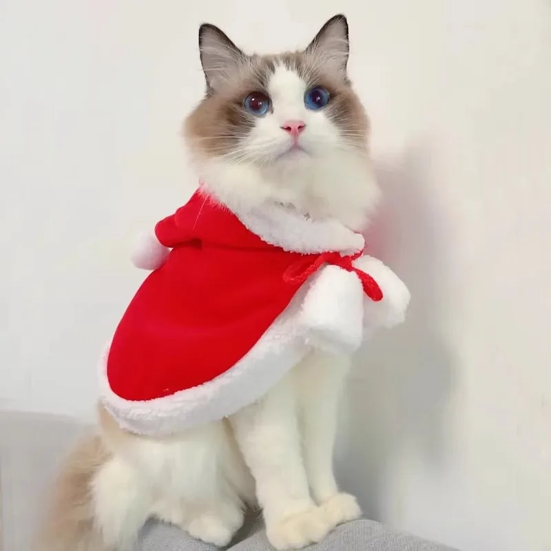 猫飼いが買ってよかったもの・悪かったもの正直に言う｜冬のケープ衣装選びの完全ガイド