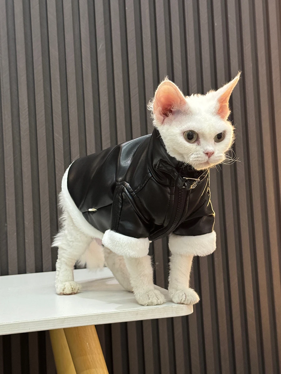 スフィンクス猫向け加毛厚手冬用ジャケット：一人暮らしの寒さ対策に最適なレザー素材の選択