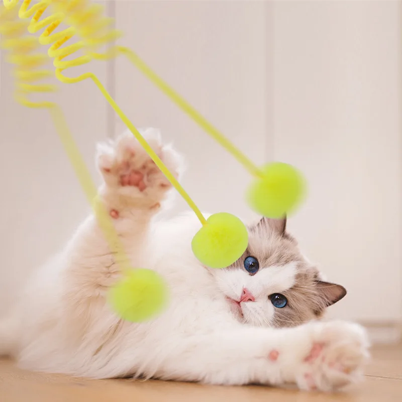 一人暮らしの猫にぴったり？手作りよりも、既製品の遊び道具はどれが最適か？