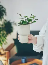 高級感あふれるインテリア用フラワーポット【多肉植物・リビング・バルコニー用】