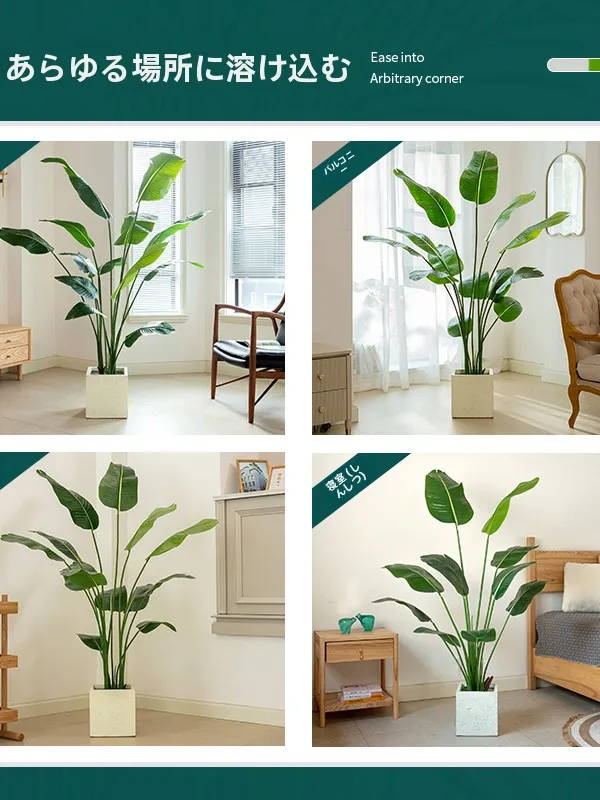 でかい観葉植物を部屋に導入するには？リアルな選び方と、心を癒す存在の秘密