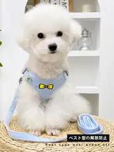 可調節のハーネス付き小型犬用リード【スタイリッシュデザイン・脱出防止機能】