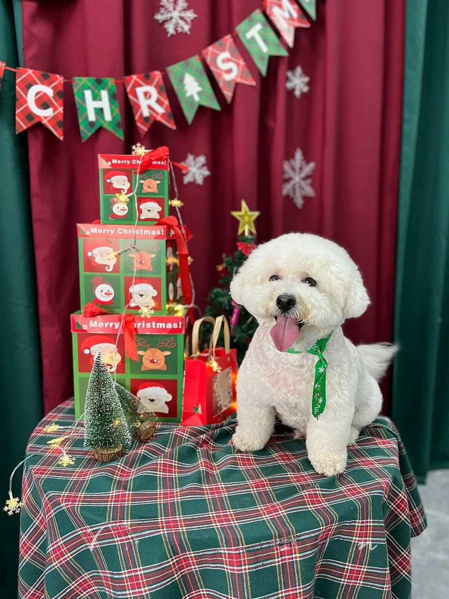 クリスマス写真撮影用デコレーションアイテム：雪花飾り・ギフトボックス・フォト背景セットの実用性とシーン適用