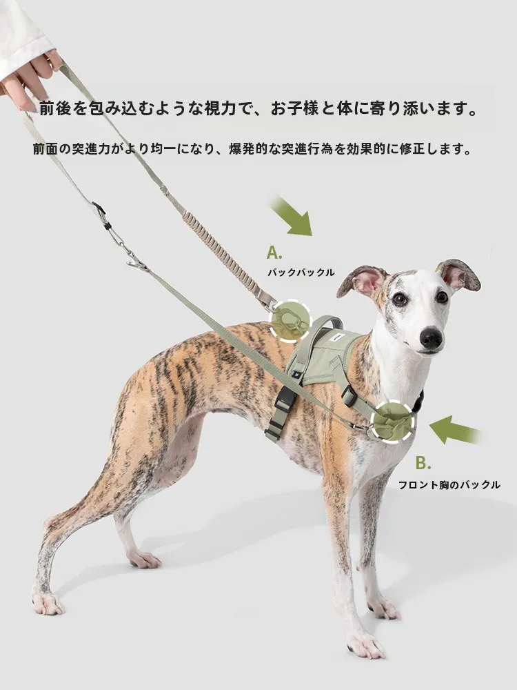 犬のお散歩グッズをコスパ良く揃える方法 - 衝撃吸収機能とサイズ選定の技術的背景