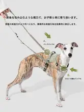 ペット用牽引ロープ【衝撃吸収・スリングショルダー・両手を自由に使える・中型・大型犬用】