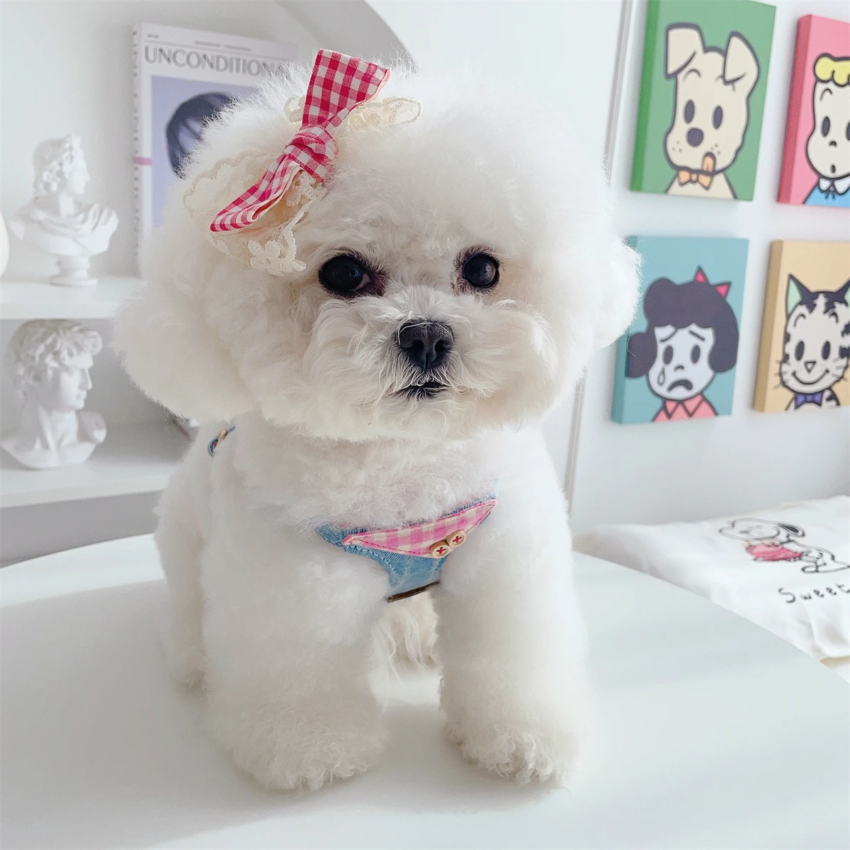 デニム風ペット用ハーネス：小型犬向けかわいいデザインとリード付きの実用性