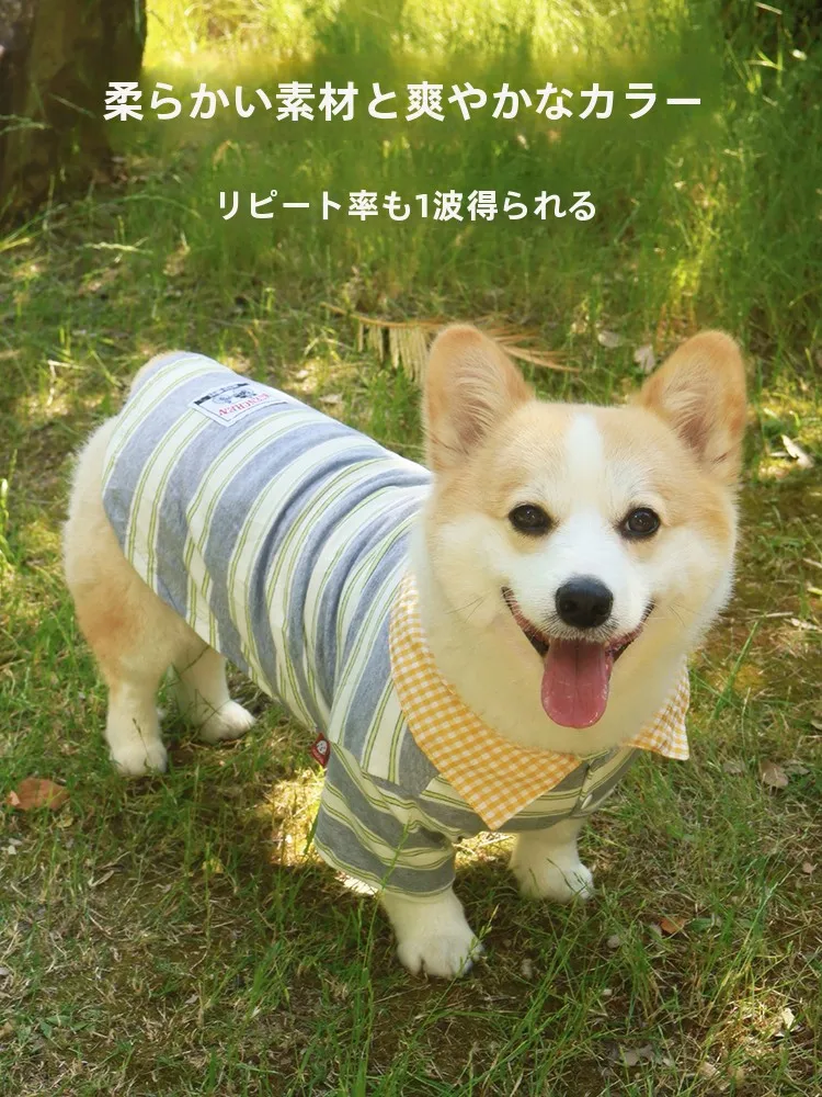 春夏用犬用ウェア：柴犬・コーギー向け短袖Tシャツの機能と適用シーン