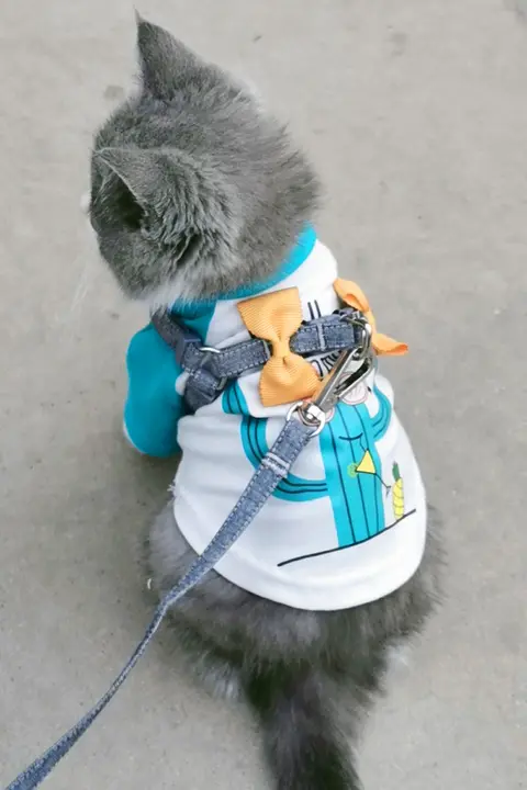 ペット用 小型犬用ハーネスリード【ティーカップ犬・専用・夏用】