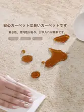 お手入れ不要のラグマット【リビング用・毛足の長い・防水防汚】