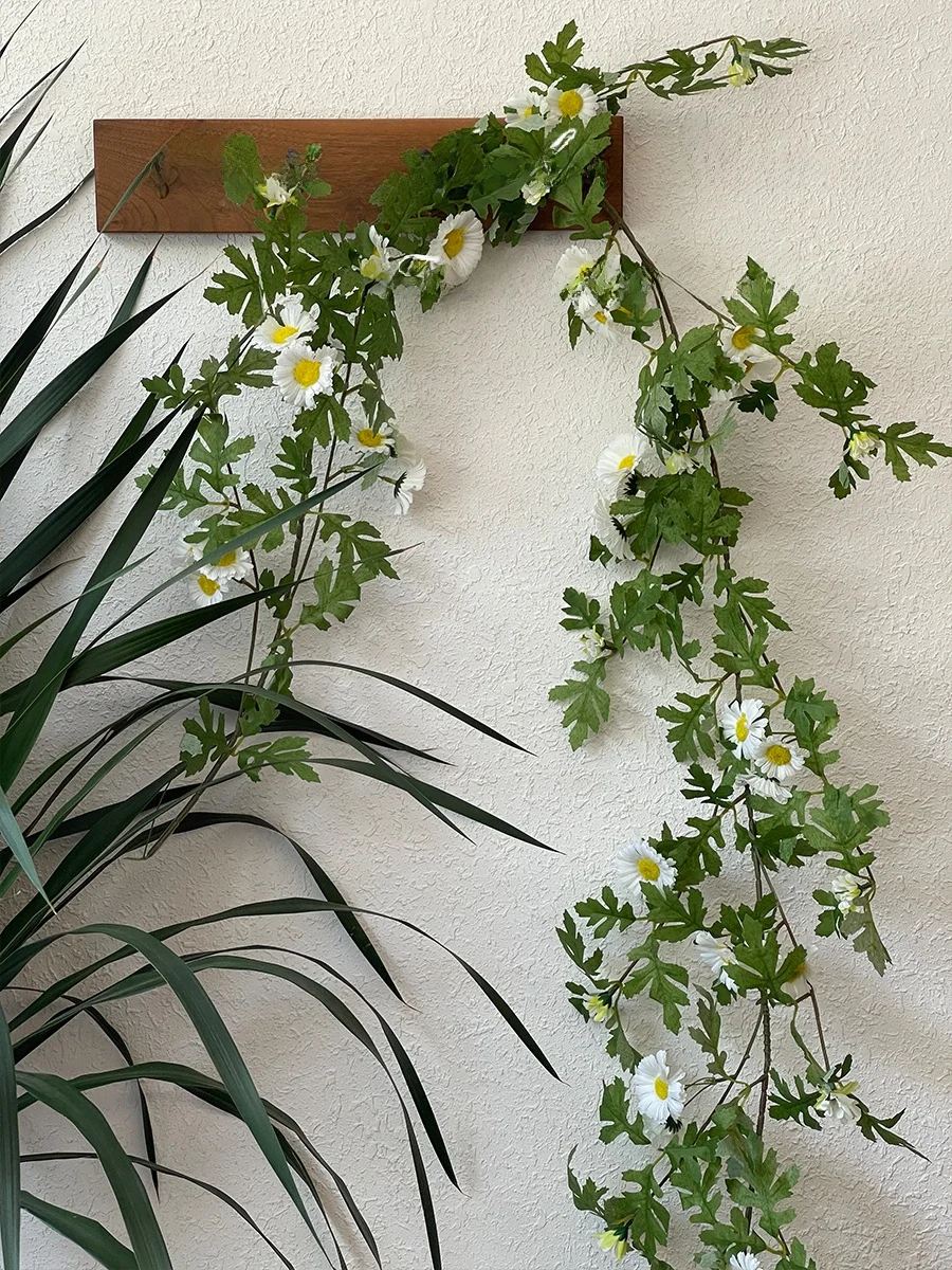 あつ森 つる どうじゅう：高級感漂うシミュレーションカモミールつる植物の実用性と使い方