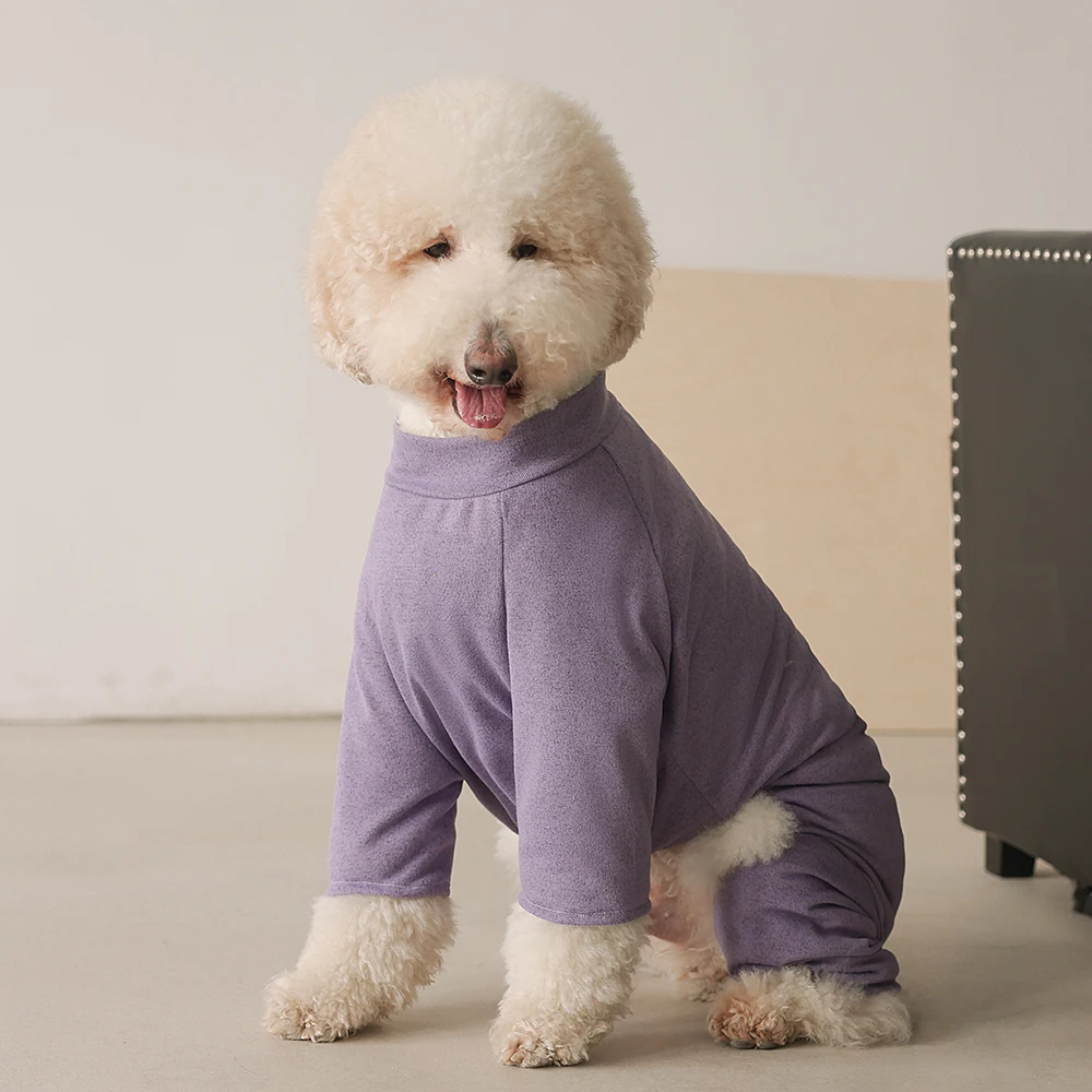 大型犬の服をどう選ぶ？実は「四脚ジャケット」が秋冬の暮らしを彩る