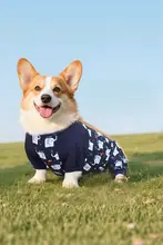 犬服 四つ足 レインコート 防水 防塵 腹巻き付き フルカバー お散歩 外出用 ペットウェア 雨具 足カバー