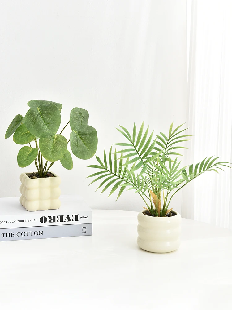 観葉植物 ザミオクルカスをどう選ぶ？リアルな造形と遊び心が融合したミニグリーンの魅力とは