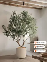 オリーブ 造木 鉢植え 北欧風 大型 組み立て式 グリーン 屋内 店舗 ショーウィンドウ インテリア