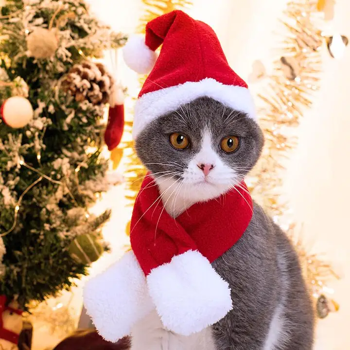 猫用クリスマス帽子とスカーフ【新年用・おもしろデザイン・コスチューム】