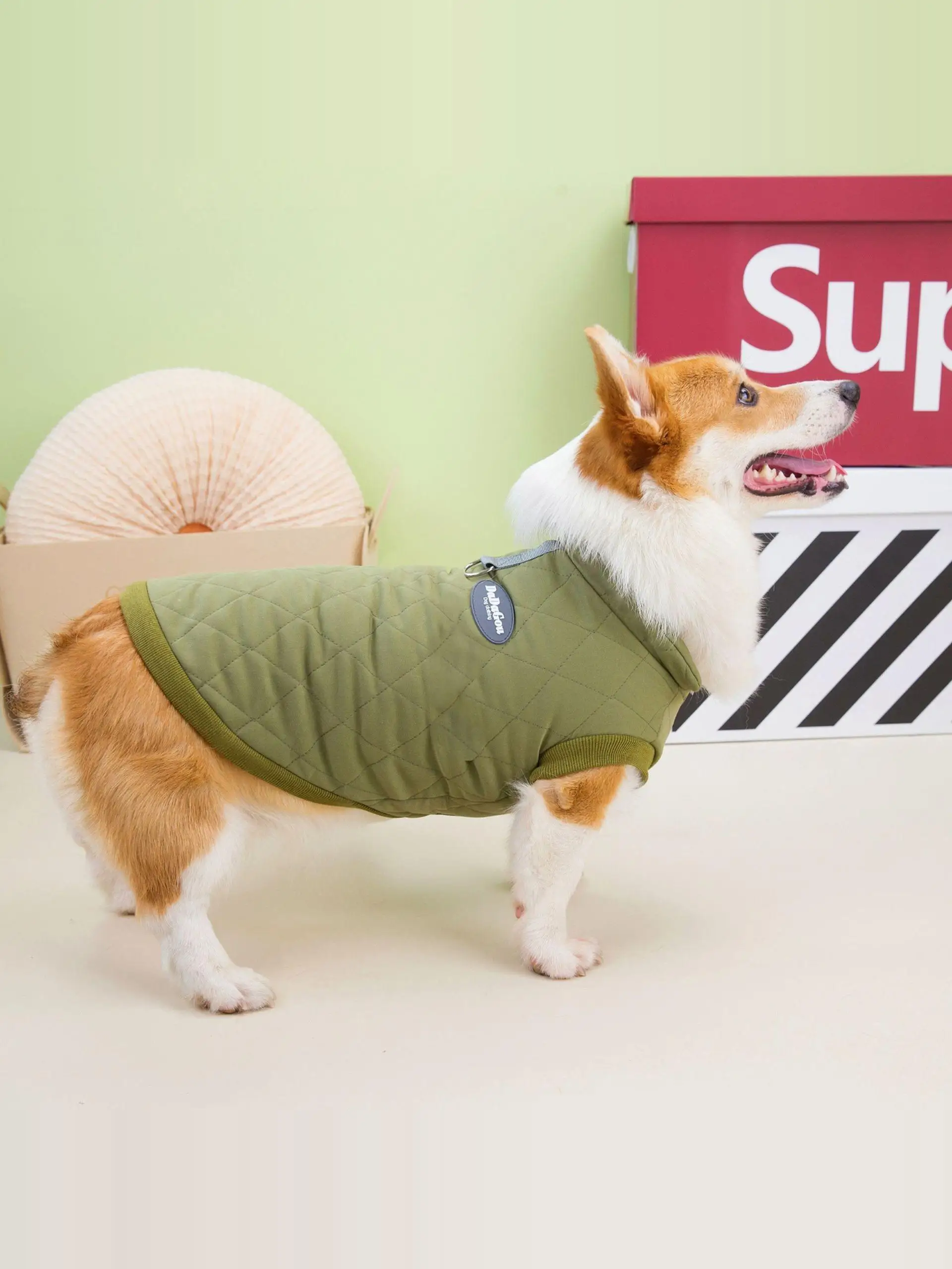 犬のお散歩グッズをコスパ良く揃える方法　完全ガイド