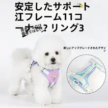 小型犬用 ペット用ハーネスリード【Bichon Frise・テディ・ボストンテリア対応・通気性あり】