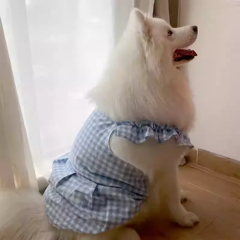 ラブラドールレトリバーにぴったりの夏の服は、どう選ぶ？