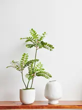 黄天竹の人工観葉植物【デスクトップ盆栽・インテリア装飾用】